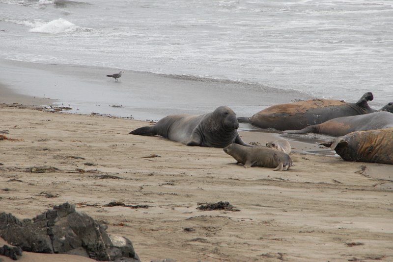 2011-07-23_Santa Barbara_Tag28_179.jpg